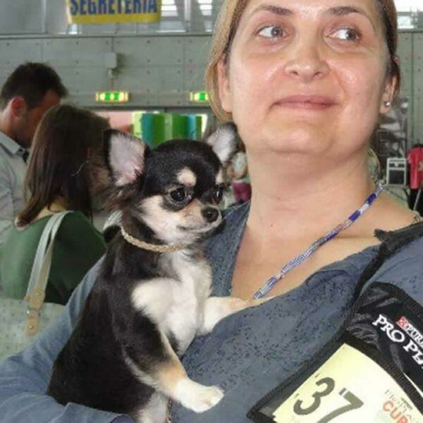 Galleria fotografica Chihuahua